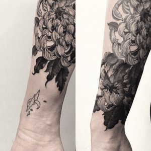 Cover up and another chrysanthemum add on. #blackwork #dotwork #armtattoo #chrysanthemum #flower #coverup 