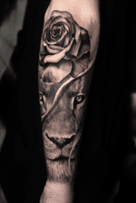 lion #tattoodo #liontattoo #rosetattoo #ssabtattoo #mamaink #blackandgrey #sleevetattoo #koreatattoo #seoultattoo