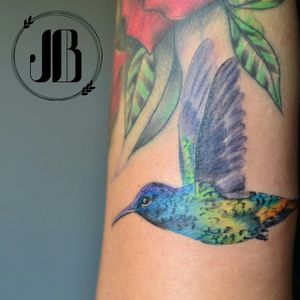#hummingbird #hummingbirdtattoo #realism #colortattoo #colorrealism #colorrealismtattoos #josyblack #josyblackink