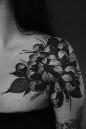 🌿🌺🌿#neotraditionaltattoo #neotraditional #flower #flowertattoo #lineswork #black #ink #inking #tattoo #tattoogirls #tattooedgirls #inkedgirls #bishop #bishoprotary #inkaddict #inkspiration #tattooing #tattoodo #tattooartist 