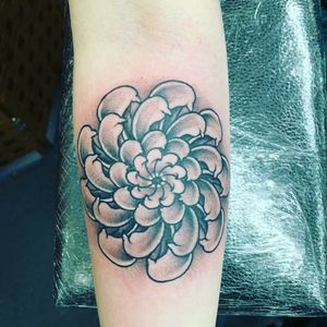 It is a wonderful design of flower 🌸 Aaww thank you @tristanknight 💖💖💖💖 #crazymoonangel @crazymoonangel #aberdeen #scotland #inspiration #inspiracja #favourite #ulubione #kochamtatuaże #lovetattoo #flower #tattoos #flowertattoo #tatułaż #aberdeentattoocollective
