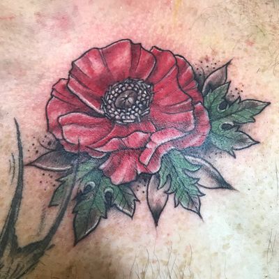 Lil poppy banger on the chest! #poppy #flower #neotraditional #chest #memorial #memorialtattoo #flora #floral #mensfloral