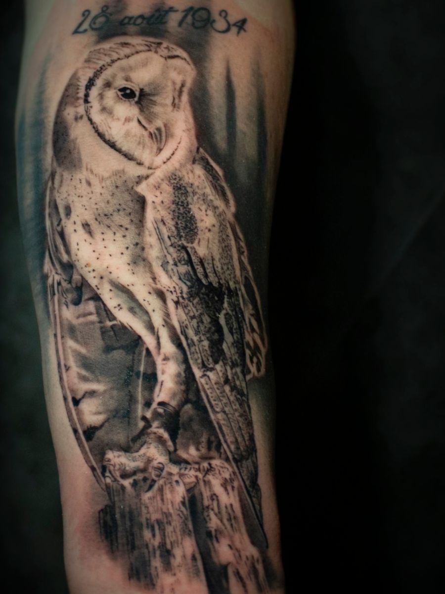 realistic barn owl tattoo