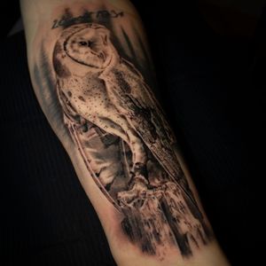 Realistic barn owl. 10h of work. Made with grey wash and grey color. No white ink. #tatouages #tatouage #tatau #tat #tattooart #tattooartist #tattooaddict #tattooblackandgrey #tattooanimals #ink #inked #blackandgrey #blackandgreytattoo #realismo #realistic #realism #realistictattoo #realismartist #realisimtattoo #realisticportrait 