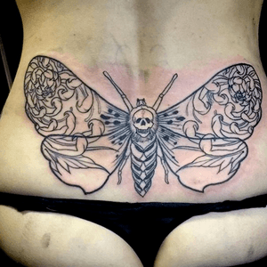 #moth#butterfly#neotraditional#firstsession#blackandgrey#flower#flowers#wing#artist#girl#
