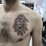 #lion 🦁 #ink #tattooing #löwe #lions #liontattoos #animals #wild #fineline #fineliner #5rl #5 #tattoo #tattoolife #tattoolovers #tattooselection #0711 #black #bg 