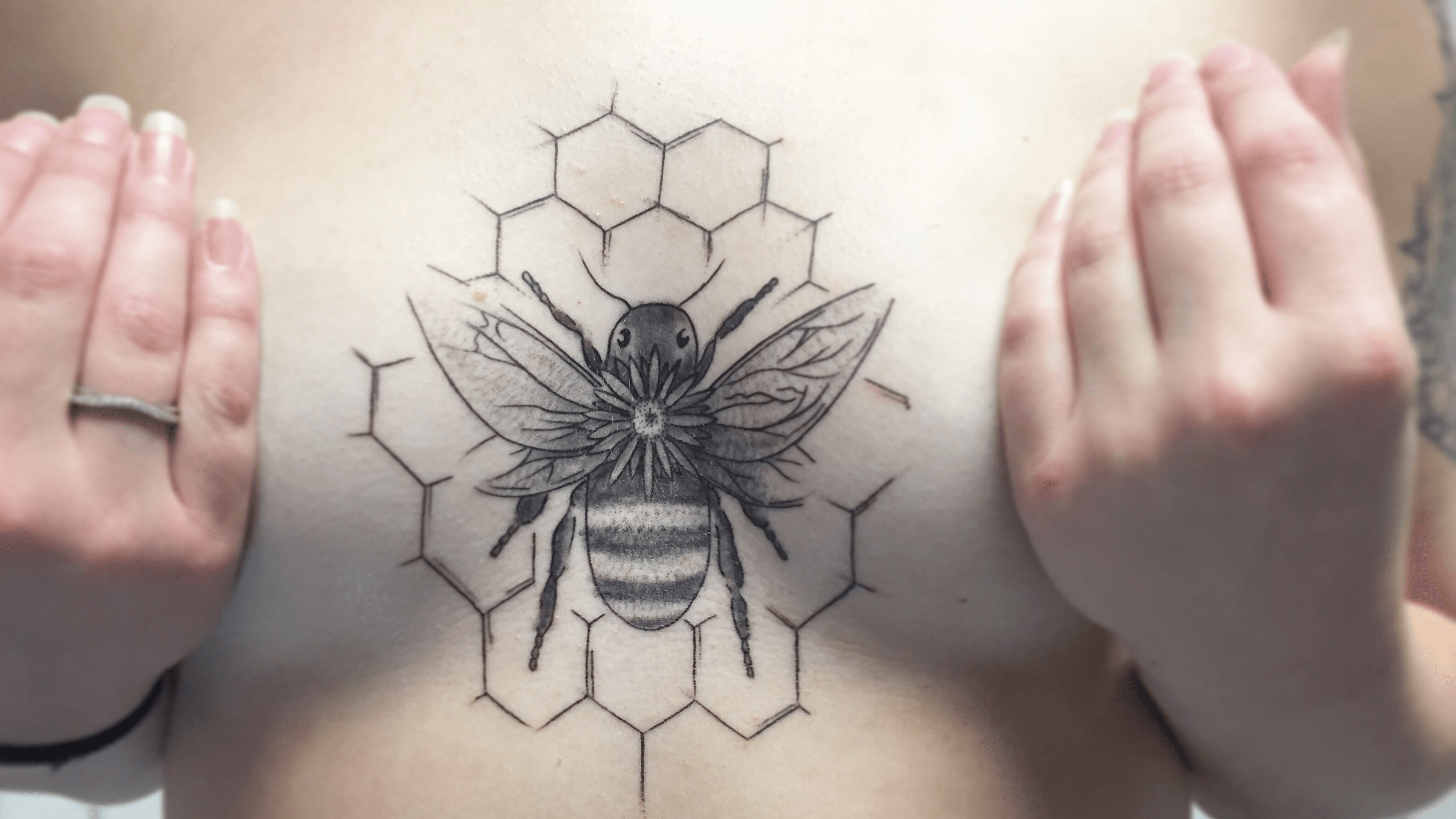 bees honeycomb tattooTikTok Search