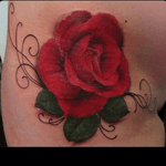 #rose #redrose #color #realism #realistic #photorealism #flower #flowerpower