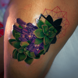 Amethyst and succulents 