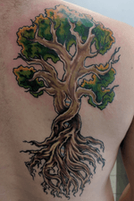 Finished this awesome tree if life tattoo! 