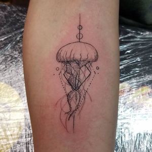 Fine line jellyfish 