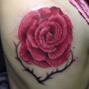 #rose #redrose #color #realism #realistic #thorns 