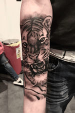 Forearm tiger for clients first tattoo. #tiger #tigertattoo #blackngrey #bng #eastbourne 
