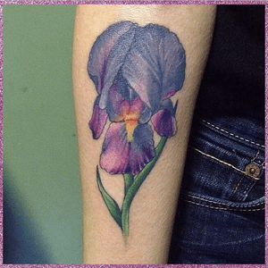 #iris #flower #color #realism #realistic #realisticflower 