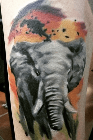 Elephant tattoo 