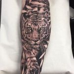 Tiger lower arm #tiger #tigertattoo #sleeve #sleevetattoo #blackandgrey #blackandgreytattoo #realism #animaltattoo #glasgow #glasgowartist # glasgowtattooartist 