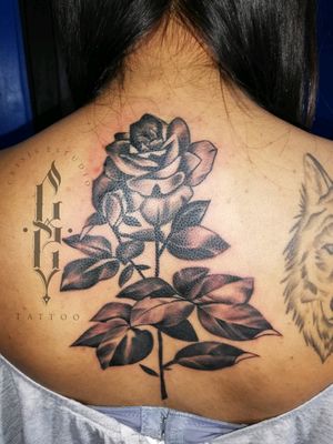 Tattoo rosa 