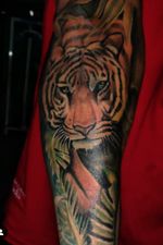 Tigre a color 🐯🔥