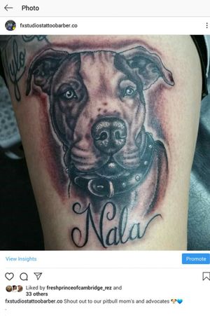 Artist: @headstattoos905#tattoo #tattoos #tattooed #tattooing #tattooshop #tatty #inkedup #inked #tattedup #pitbull   #picoftheday #photooftheday #tattooedbarbersNF  #like #likeme #follow #followus #followme