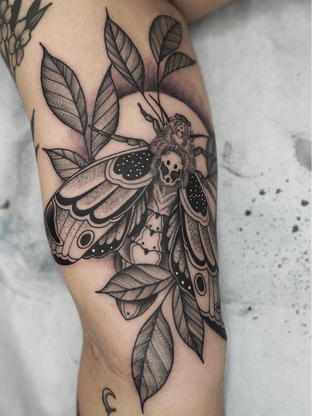 Zen Tattoo  davegravetattoo  Elbow fold Moth   Facebook
