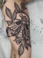 Nature tattoo by Kyle Stacher aka Thief Hands #KyleStacher #ThiefHands #illustrative #linework #nature #organic #fineline #dotwork #flower #leaves #moth