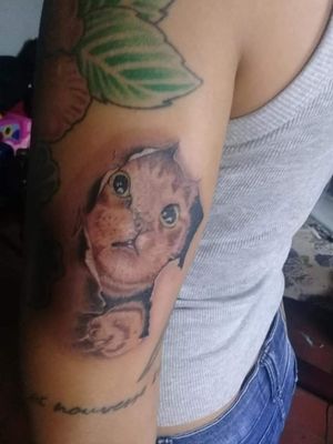 Cat Tattoo by VagnerInk