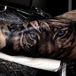 Tiger eyes black and grey. Blue eyes. Done by Galina Simakina 