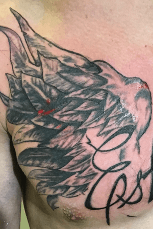 Cover up over top of a smaller horrible wing