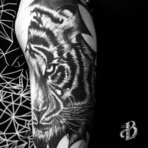 Tiger #tigertattoo #sphynxtattooDublin #tattooartist #tattooart #tattooblackgrey #tattoorealistic 