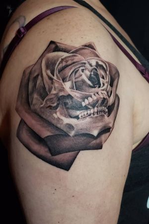 Skull rose mash up, Tattoo done by Silver Plata. 04/17/2019