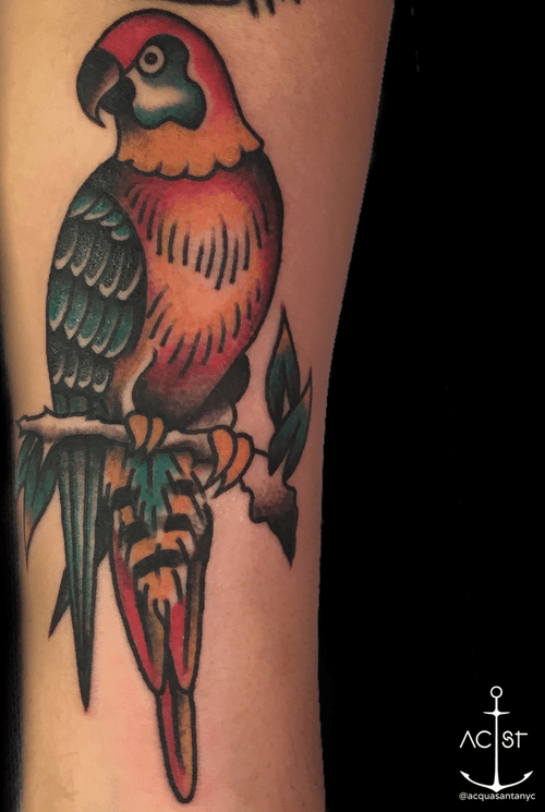 Awesome bold and colorful traditional parrot by @Klever Lliguipuma #parrottattoo #BoldTattoos #traditionaltattoo #sailorjerry #ColorfulTattoos #birdtattoo 