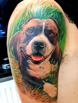 Bully lover. A tattoo of his dog.