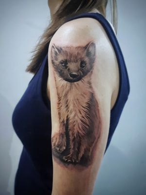 Cute marten #tattoo #cutetattoo #inkedgirl #inkedup #inkaddict #tattooinmoscow #color #realistic #fluffy #marten #inkartist #tattooselection 