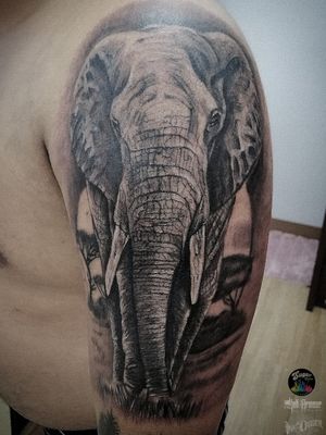 We are all just walking each other home! #elephanttattoo #sullen #tattooideas #tattoorealistic #sullenclothing #elephant #inkdiggerfamily #ink #inkart #inkdiggertattoo #inkdigger #tattooart #tattoo #tattoos #sugarbalmtattooaftercare #inkarmour