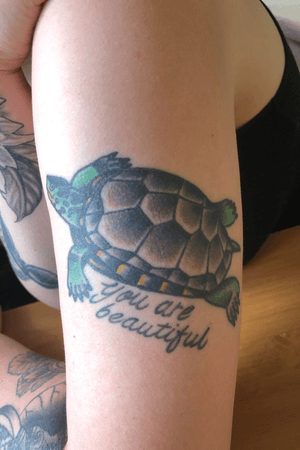turtle with the last words my grandma told me