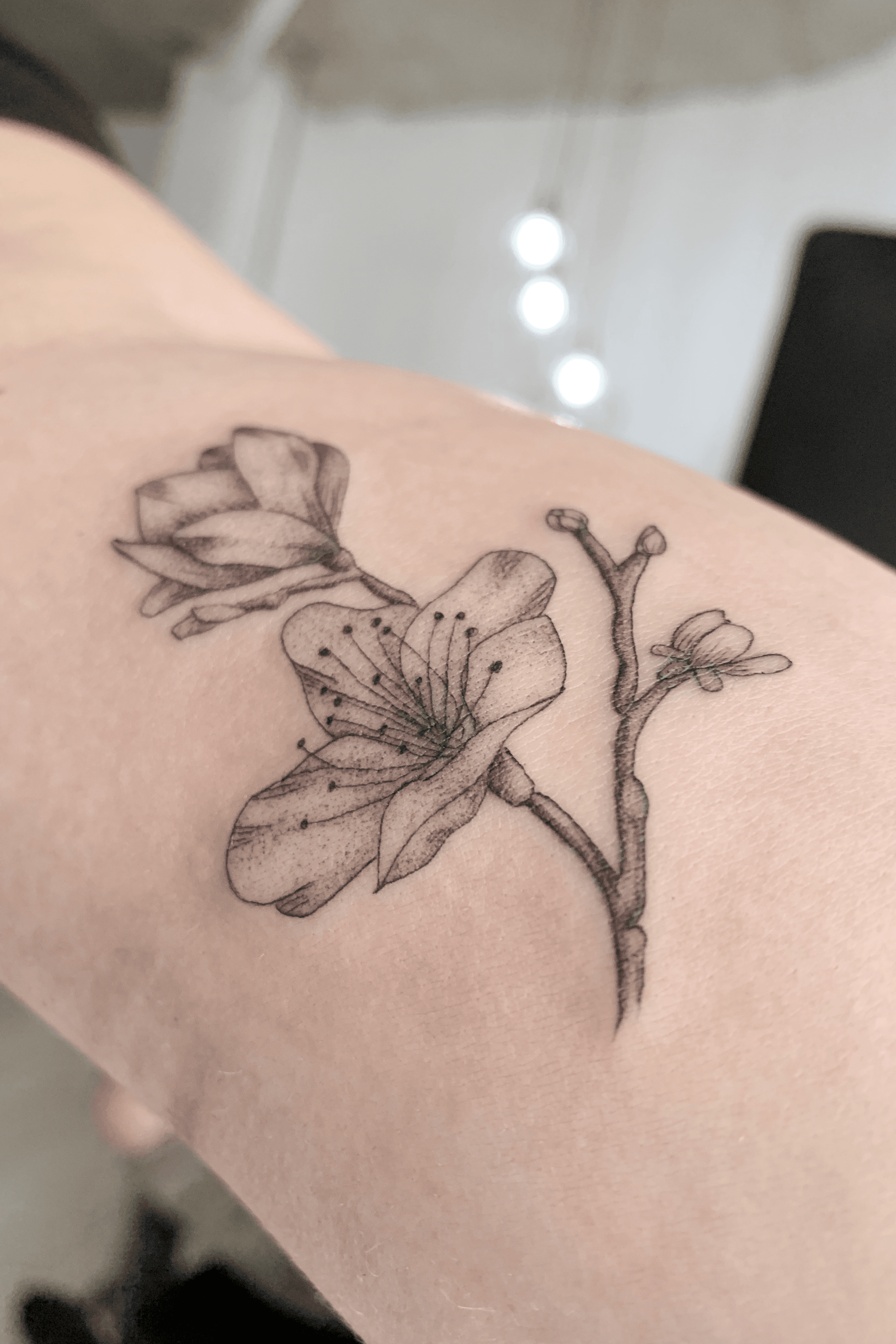 cherry blossom black and white tattoo