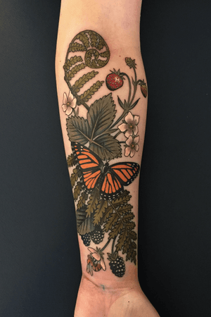 Monarch with strawberries, blackberries and flowers