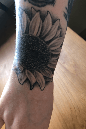 sunflower done by Gabe