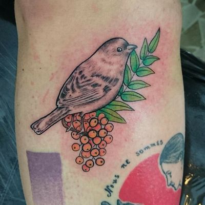 #bird #sparrow #neotraditional 