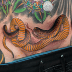 Belly snake