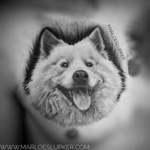Black & Grey portrait of happy doggo #portrait #dogportrait #samoyed #doggo #blackandgrey #marloeslupker