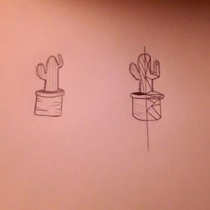 Shoot cactus