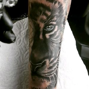 Half tiger. Cover up project. 