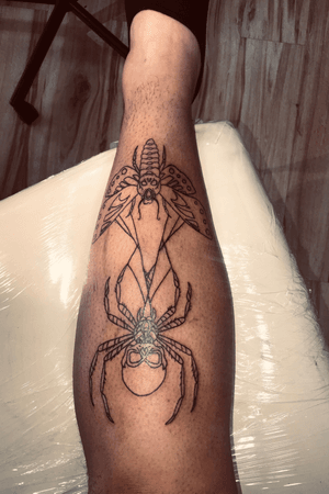 Spider and moth in web tattoo 