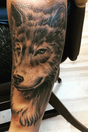 Wolf tattoo I did for info text my phone (419)7882743