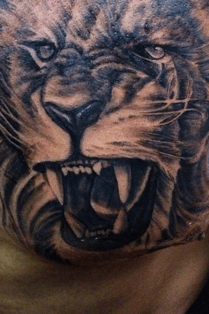 #lion #tattoo for appointment text (419)788-2743