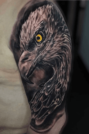 We're so eagle to show you this handsome fellow that Sim tattooed recently! He's got his eye on you 🦅🐥