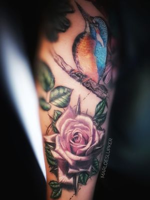 Ice birdy & Pink rose - part of a nature sleeve in progress #rose #realism #colortattoo #icebird #nature #pink 