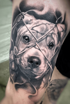 Would you get your doggie as a tattoo???