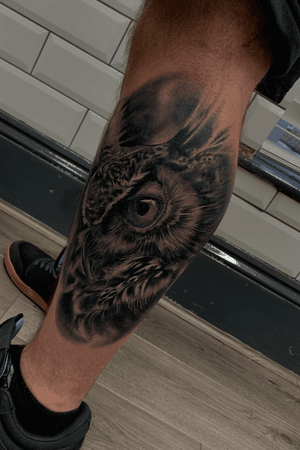 Fully healed owl portrait 